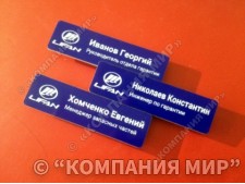 Бейджи, бейджики